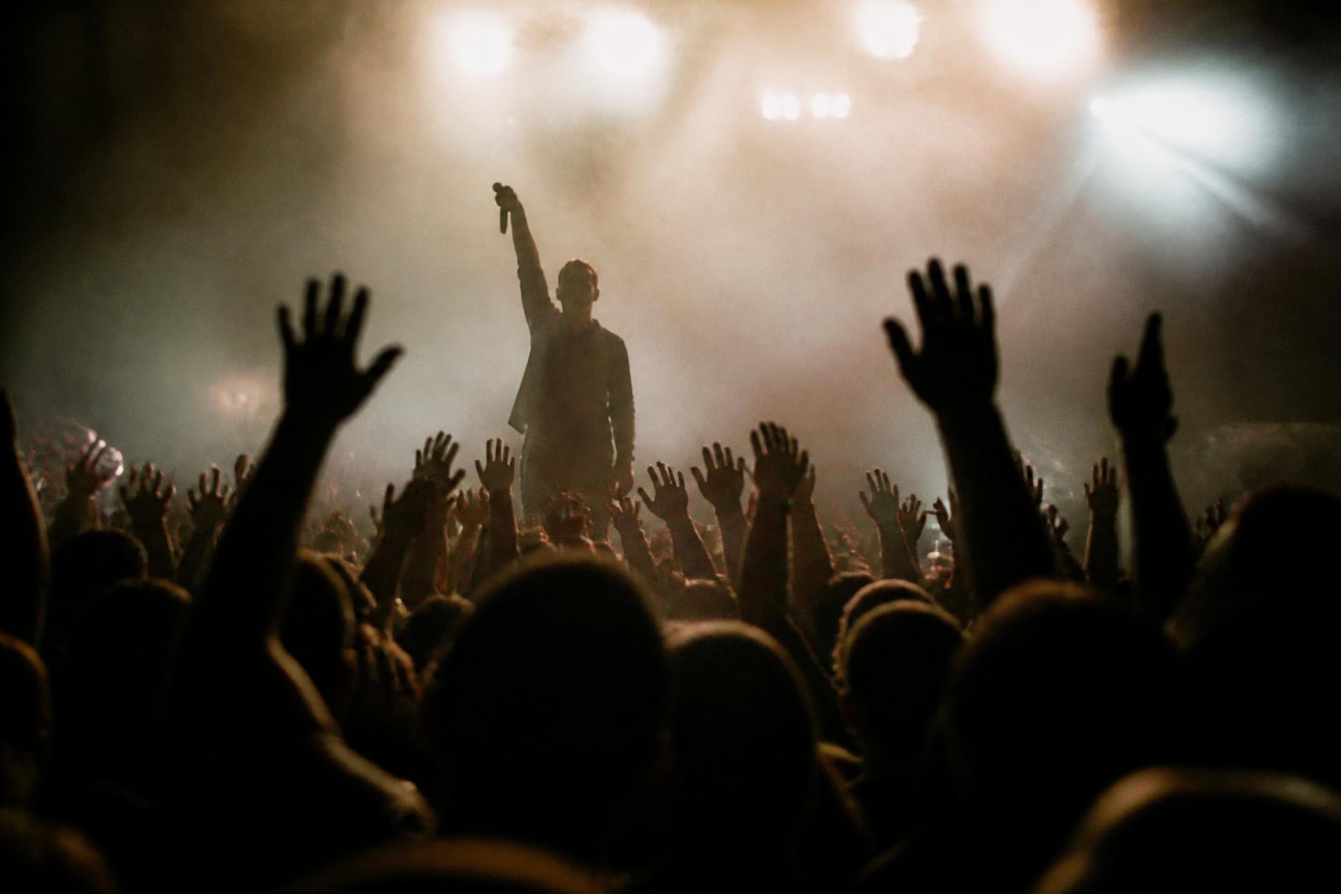 Crowd at a live show